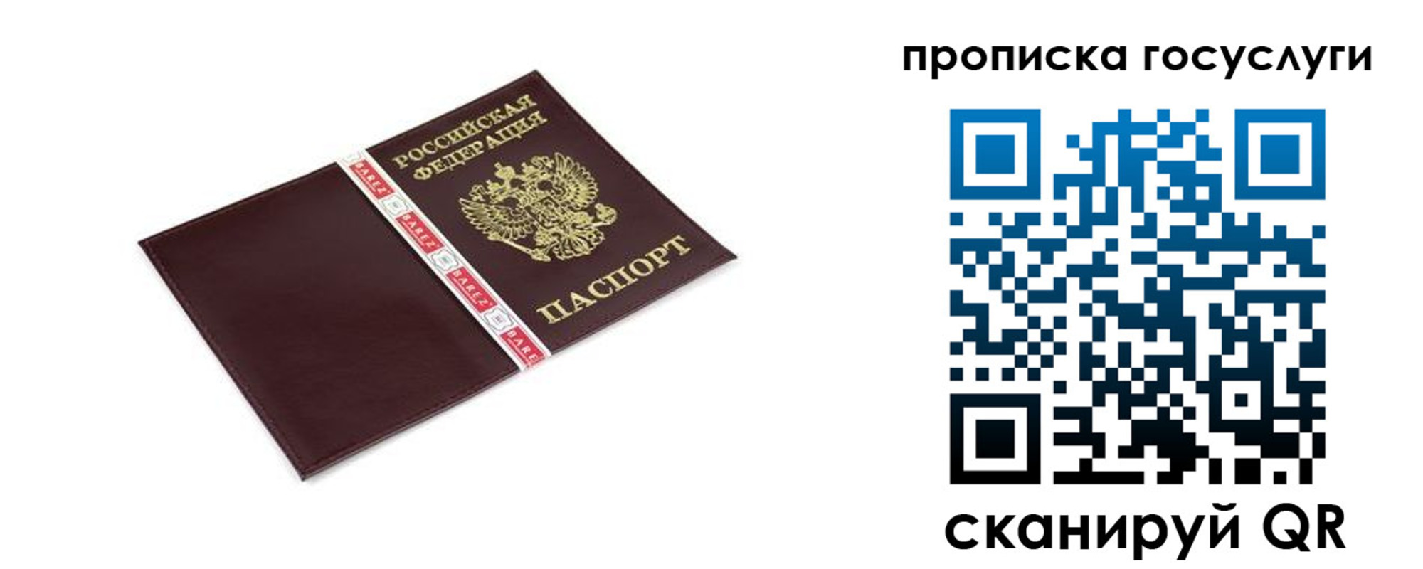 прописка штамп в Калининграде
